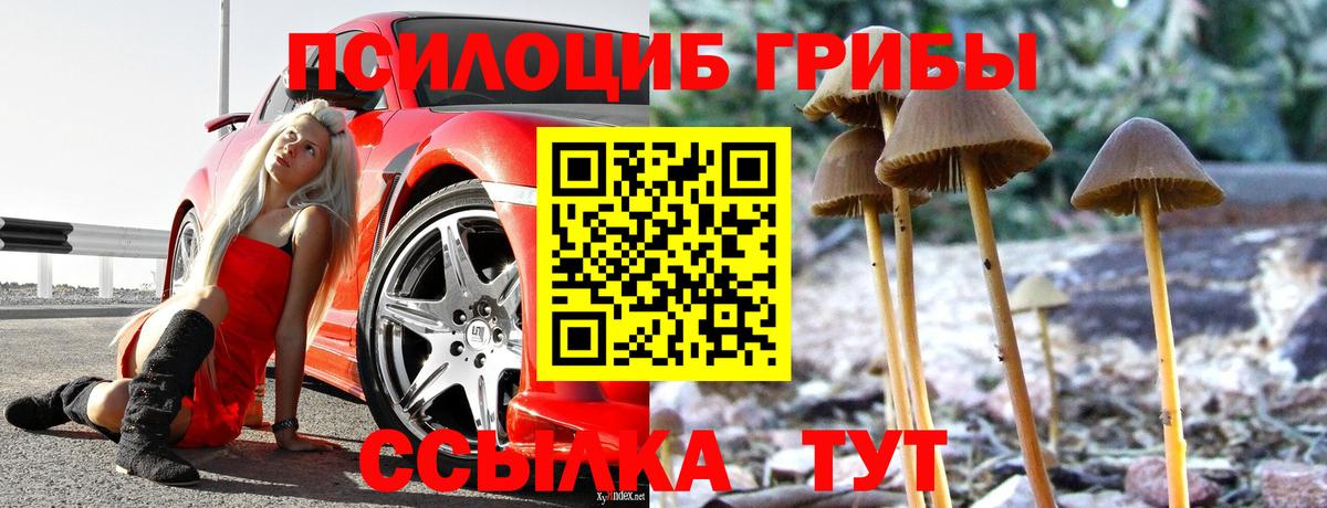 Галлюциногенные грибы мухоморы  Вход с VPN  Павловский Посад  Галлюциногенные грибы Psilocybe 